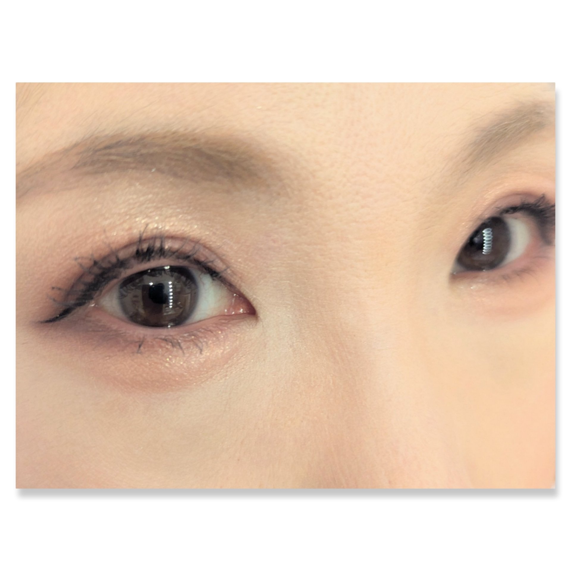 グラデーション アイシャドウ/ちふれ/アイシャドウパレットを使ったクチコミ（2枚目）