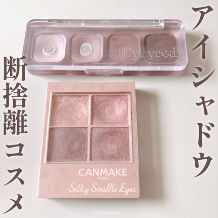 シルキースフレアイズ(マットタイプ)/キャンメイク/アイシャドウパレットを使ったクチコミ(1枚目)