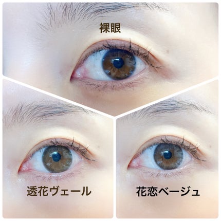 Kaica 1day/Kaica/ワンデー(1DAY)カラコンを使ったクチコミ(5枚目)