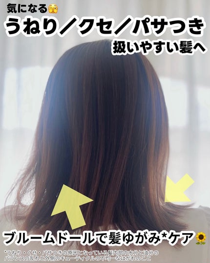 ディアボーテ ブルームドール モイスチャーフィル ヘアマスク/ディアボーテ/ヘアマスク・ヘアパックを使ったクチコミ(2枚目)