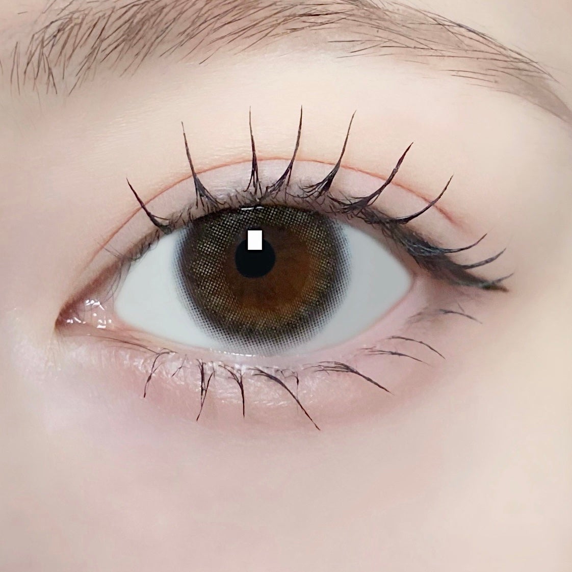 TOPARDS 1day/TOPARDS/ワンデー(1DAY)カラコンを使ったクチコミ(3枚目)