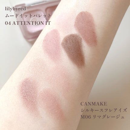シルキースフレアイズ(マットタイプ)/キャンメイク/アイシャドウパレットを使ったクチコミ(4枚目)