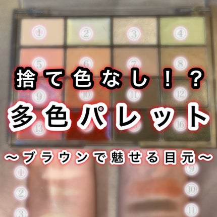 ソフトブラーリングアイパレット/wakemake/アイシャドウパレットを使ったクチコミ(1枚目)