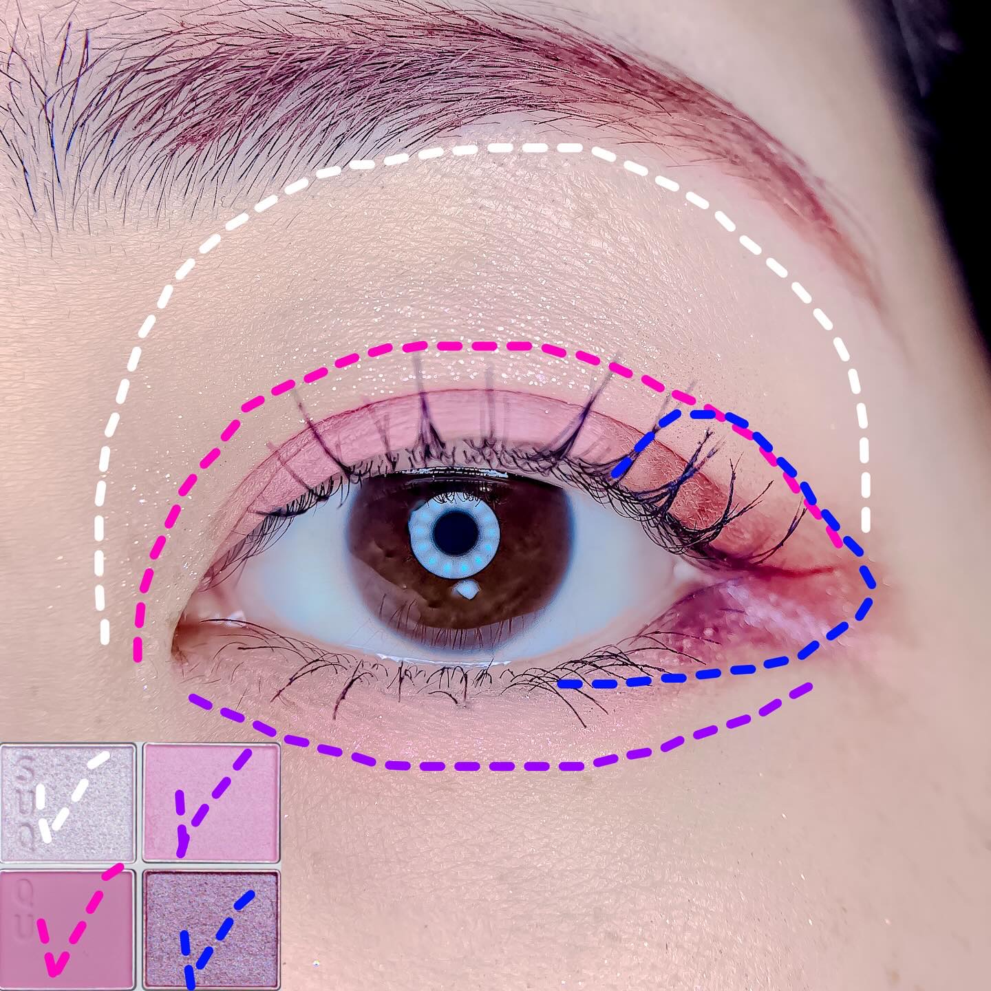 SUQQU メイクアップ キット 舜華/SUQQU/メイクアップキットを使ったクチコミ（2枚目）