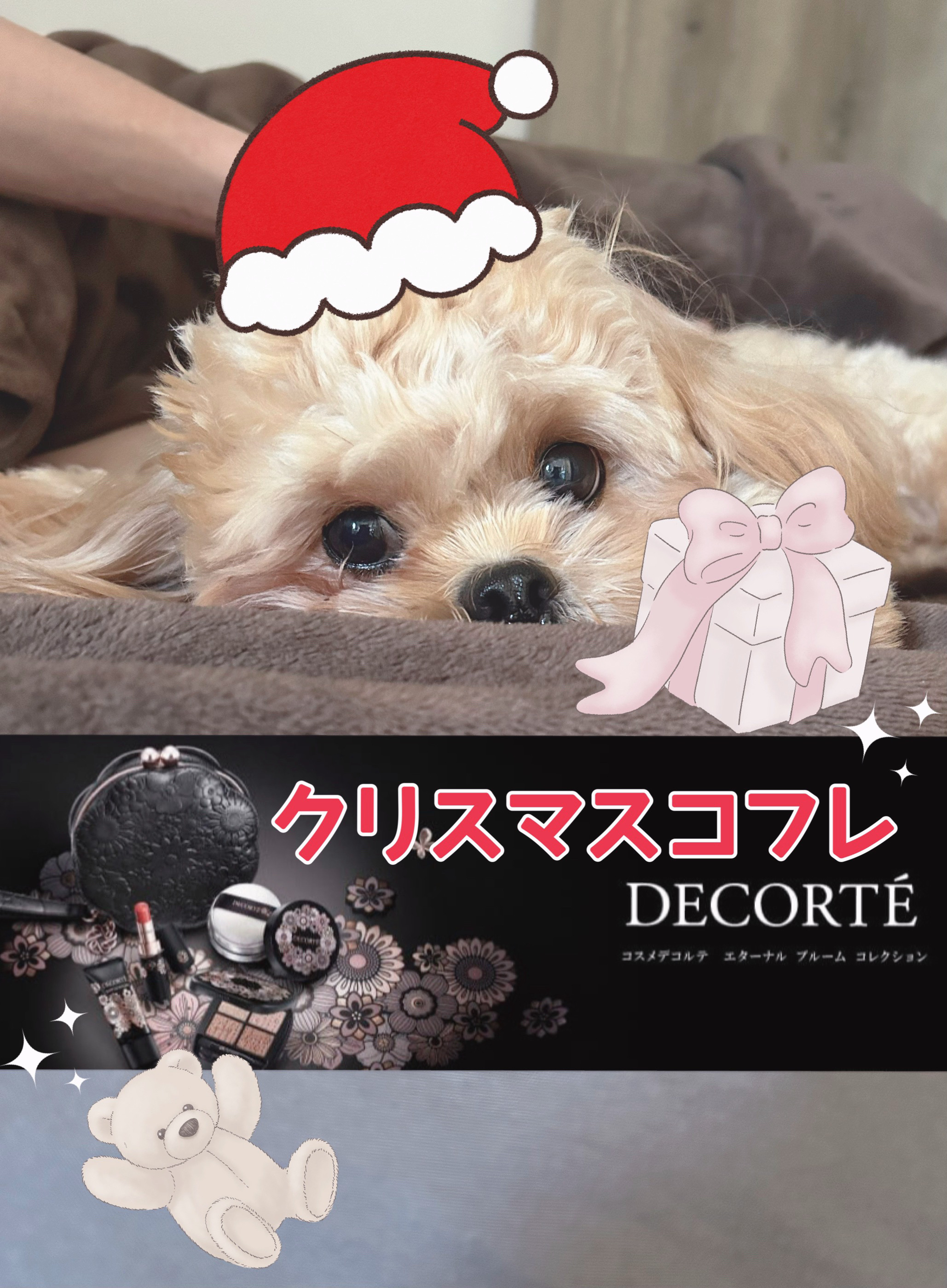 ルース パウダー/DECORTÉ/ルースパウダーを使ったクチコミ（1枚目）