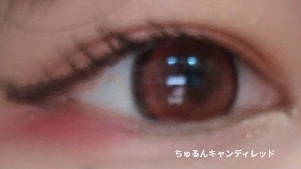 Honey kiss 1day/HoneyKiss/ワンデー(1DAY)カラコンを使ったクチコミ(9枚目)