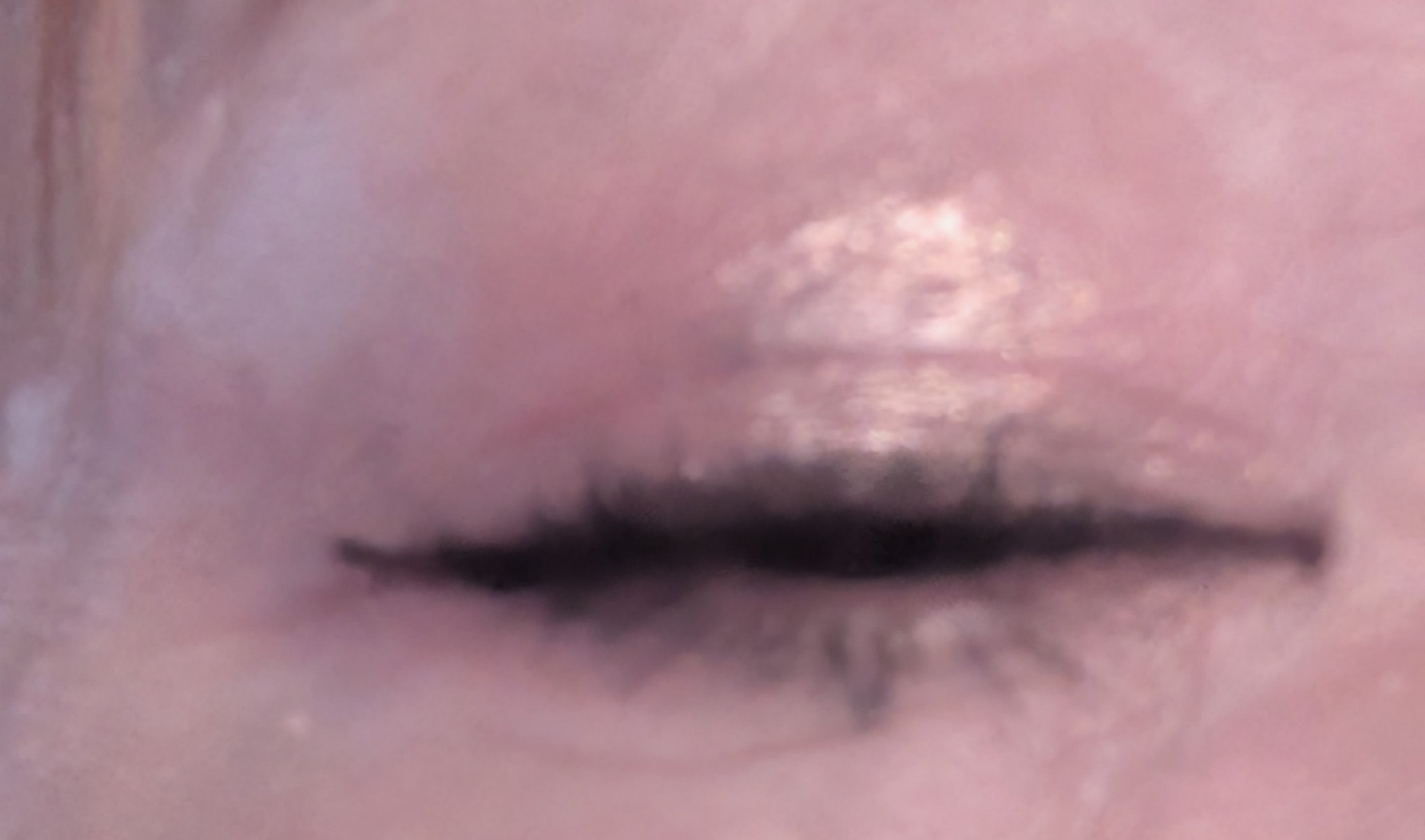 レブロン ダズル アイシャドウ クアッド/REVLON/アイシャドウパレットを使ったクチコミ（3枚目）