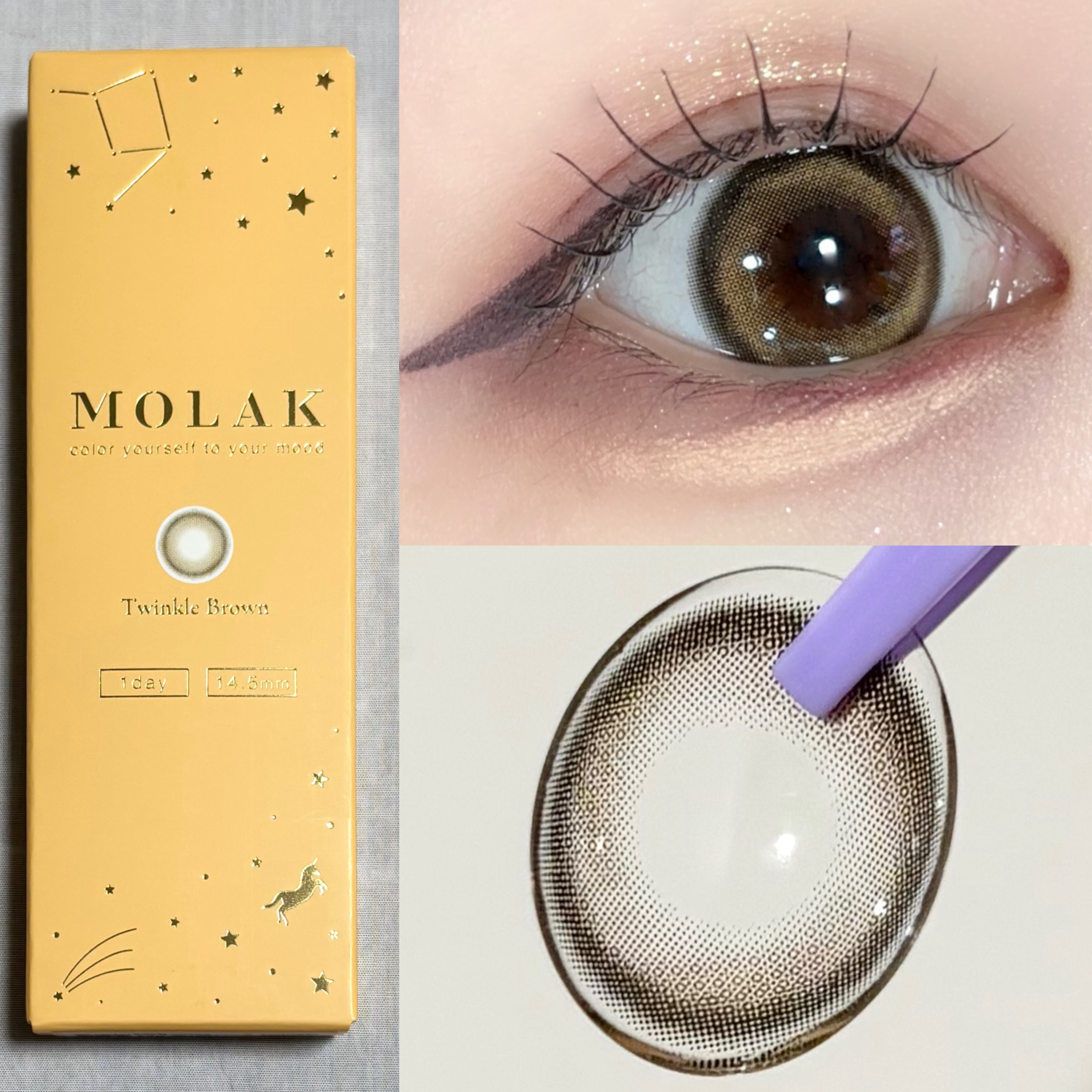 MOLAK 1day トゥインクルブラウン/MOLAK/ワンデー（１DAY）カラコンを使ったクチコミ（2枚目）