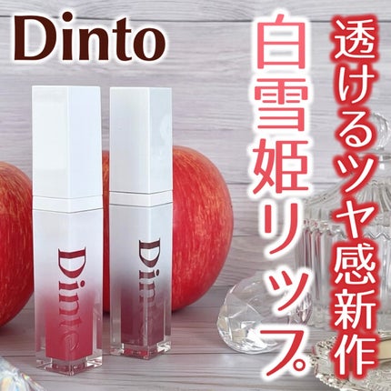 ミラーレスリップオイルグロス/Dinto/リップグロスを使ったクチコミ(1枚目)