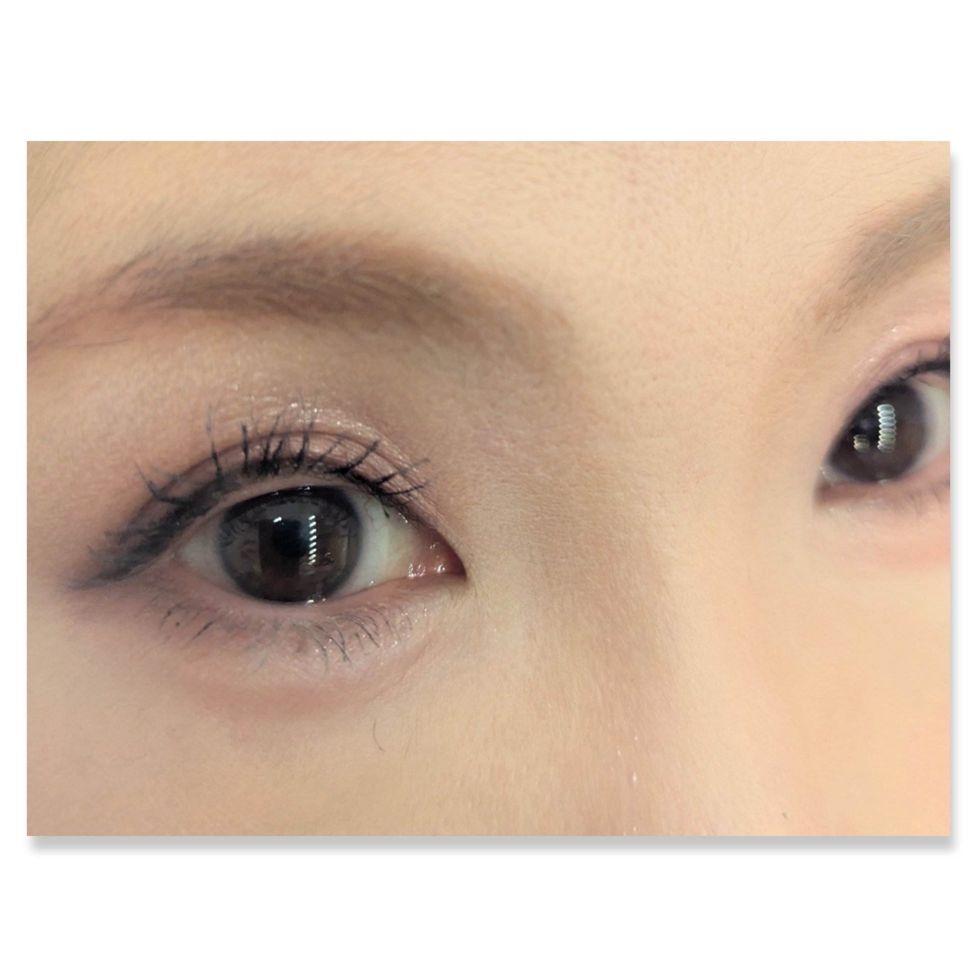 ダブル ムード アイズ/Visée/アイシャドウパレットを使ったクチコミ（2枚目）