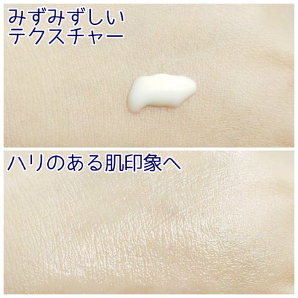 パーフェクトリッチ リンクルデイリープロテクト/白くま化粧品/日焼け止めクリームを使ったクチコミ(3枚目)