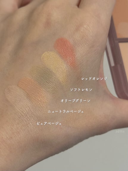 コンシールブレンダーパレット/LUNA/パレットコンシーラーを使ったクチコミ(4枚目)