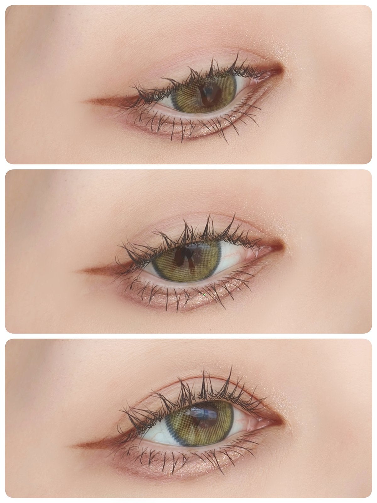 ビタートーンアイシャドウ/CEZANNE/パウダーアイシャドウを使ったクチコミ(1枚目)