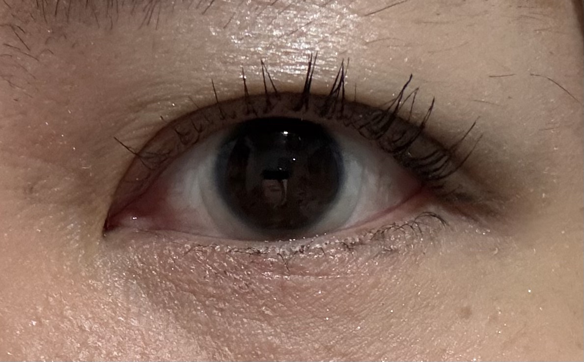 ディオールショウ サンク クルール（ミス ディオール コレクション 限定品）/Dior/アイシャドウを使ったクチコミ（2枚目）