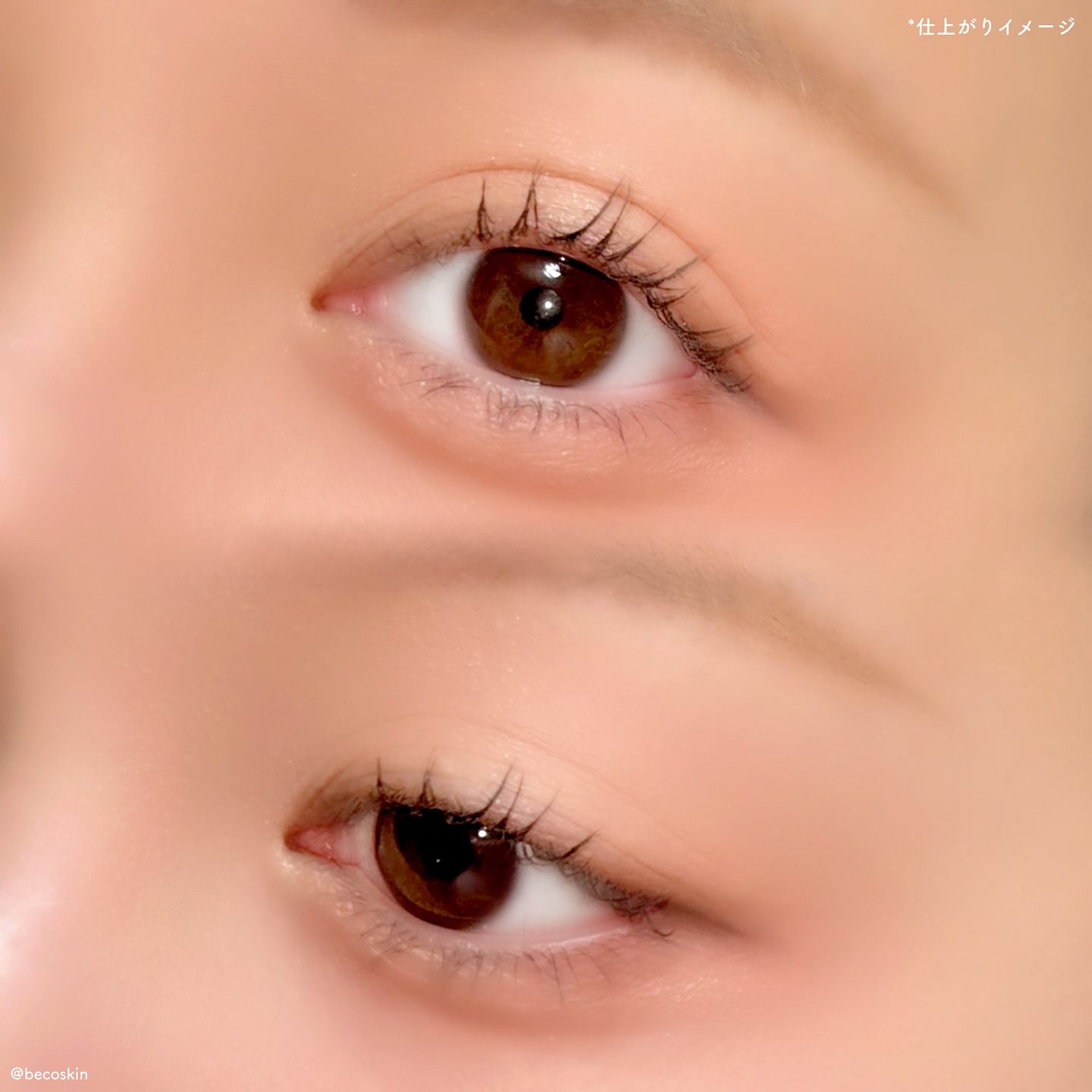 プロタージュアイパレット/too cool for school/アイシャドウパレットを使ったクチコミ（3枚目）