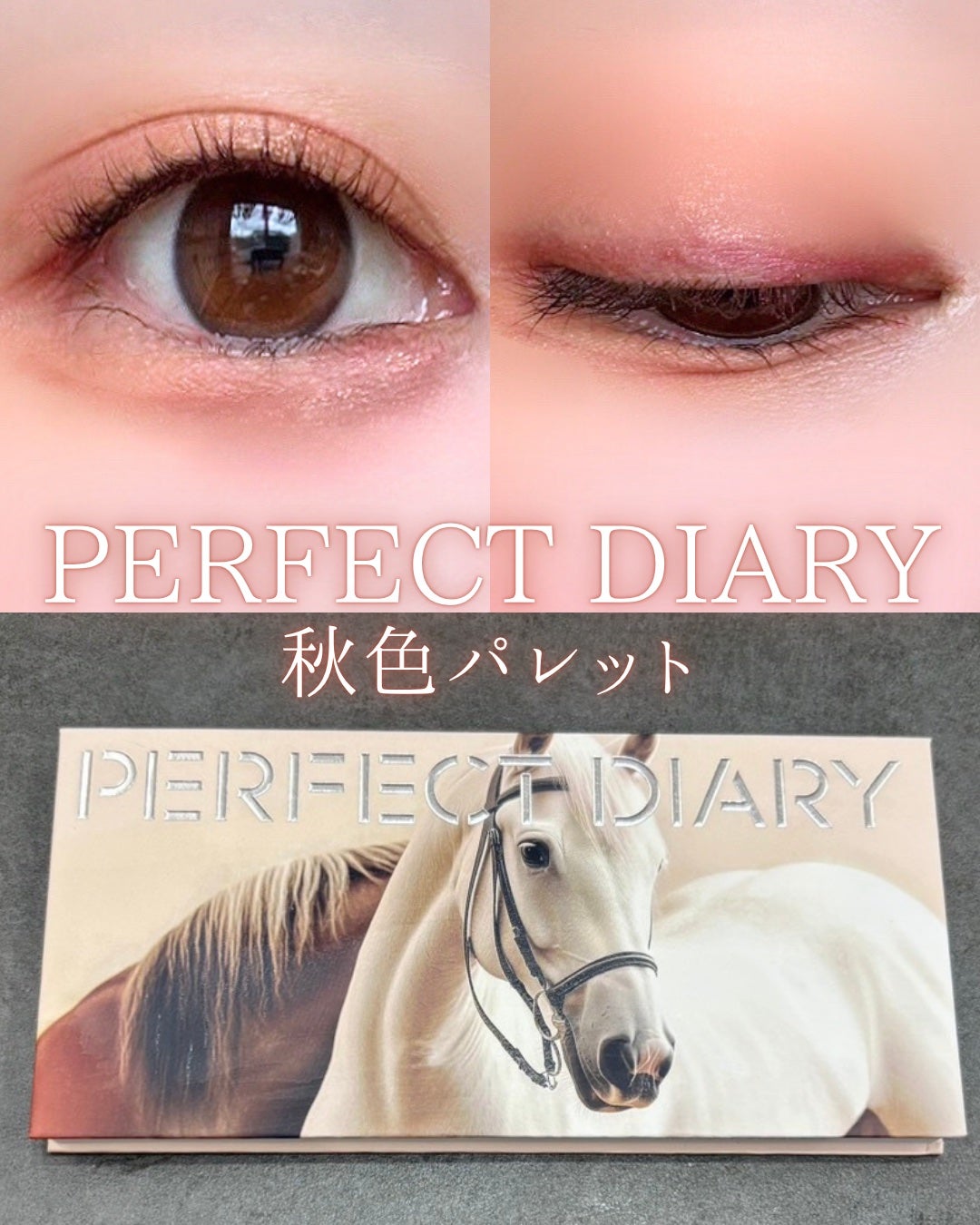 エクスプローラ12色 動物アイシャドウパレット/PERFECT DIARY/アイシャドウパレットを使ったクチコミ(1枚目)