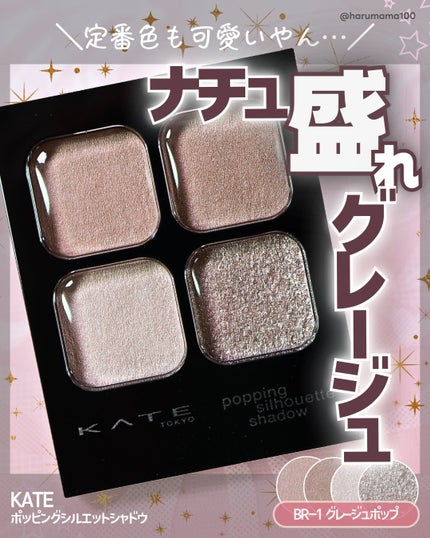 ケイト ポッピングシルエットシャドウ/KATE/アイシャドウパレットを使ったクチコミ(1枚目)