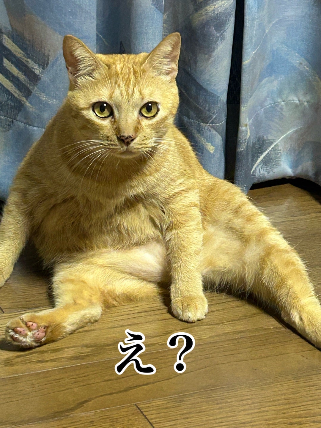 モイスチャーリップ 無香料/ニベア/リップクリームを使ったクチコミ(5枚目)