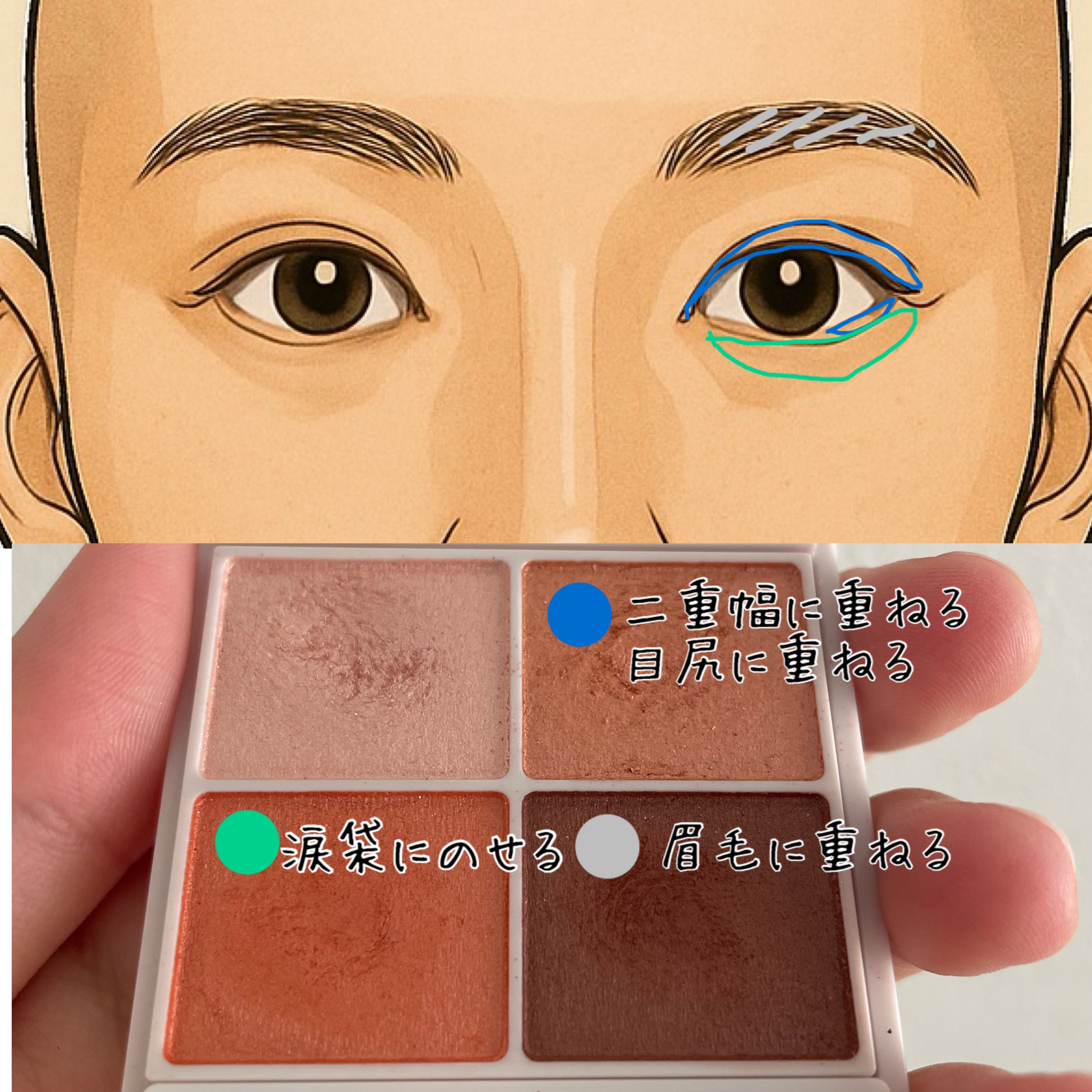 フェイスグロウカラー/CEZANNE/クリームハイライトを使ったクチコミ（3枚目）