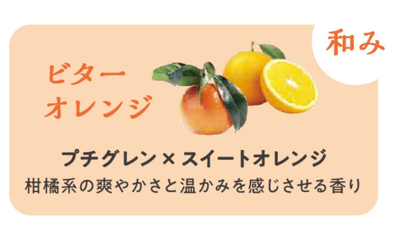 アンドグッドナイトから月夜のまったりナイトケアアイテムが登場の画像