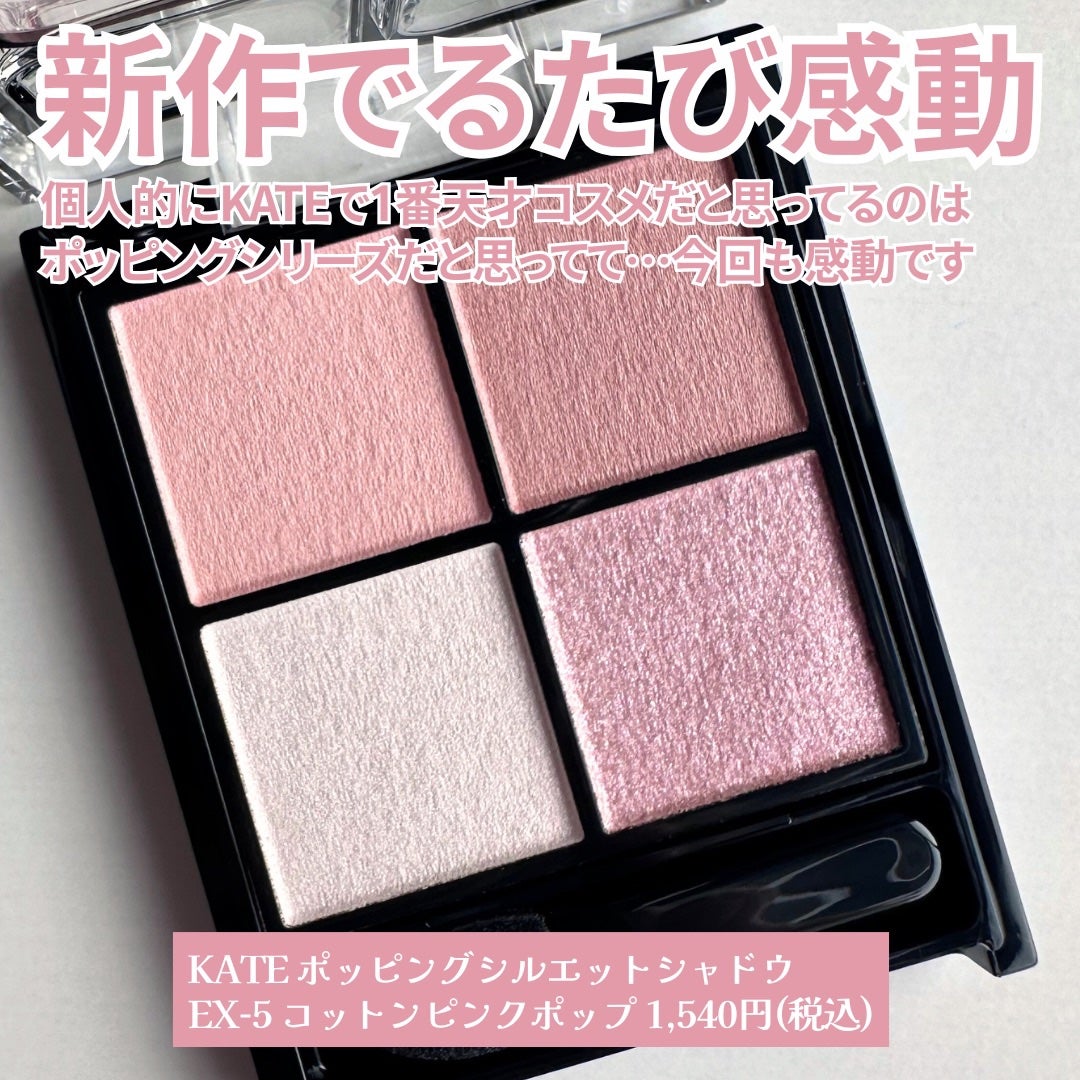 ケイト ポッピングシルエットシャドウ/KATE/アイシャドウパレットを使ったクチコミ(2枚目)