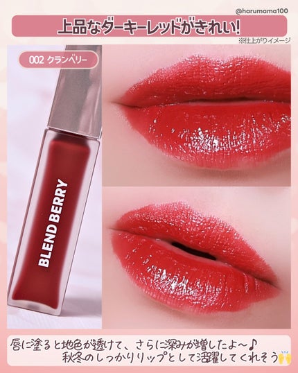 ムースタッチティントリップ /BLEND BERRY/リップティントを使ったクチコミ(5枚目)