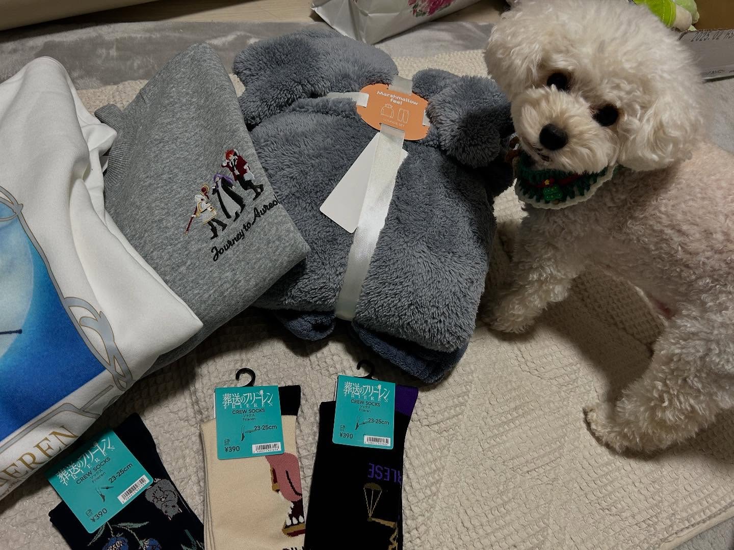 クレンジング モイスチュアフォーム/IPSA/泡洗顔を使ったクチコミ（3枚目）