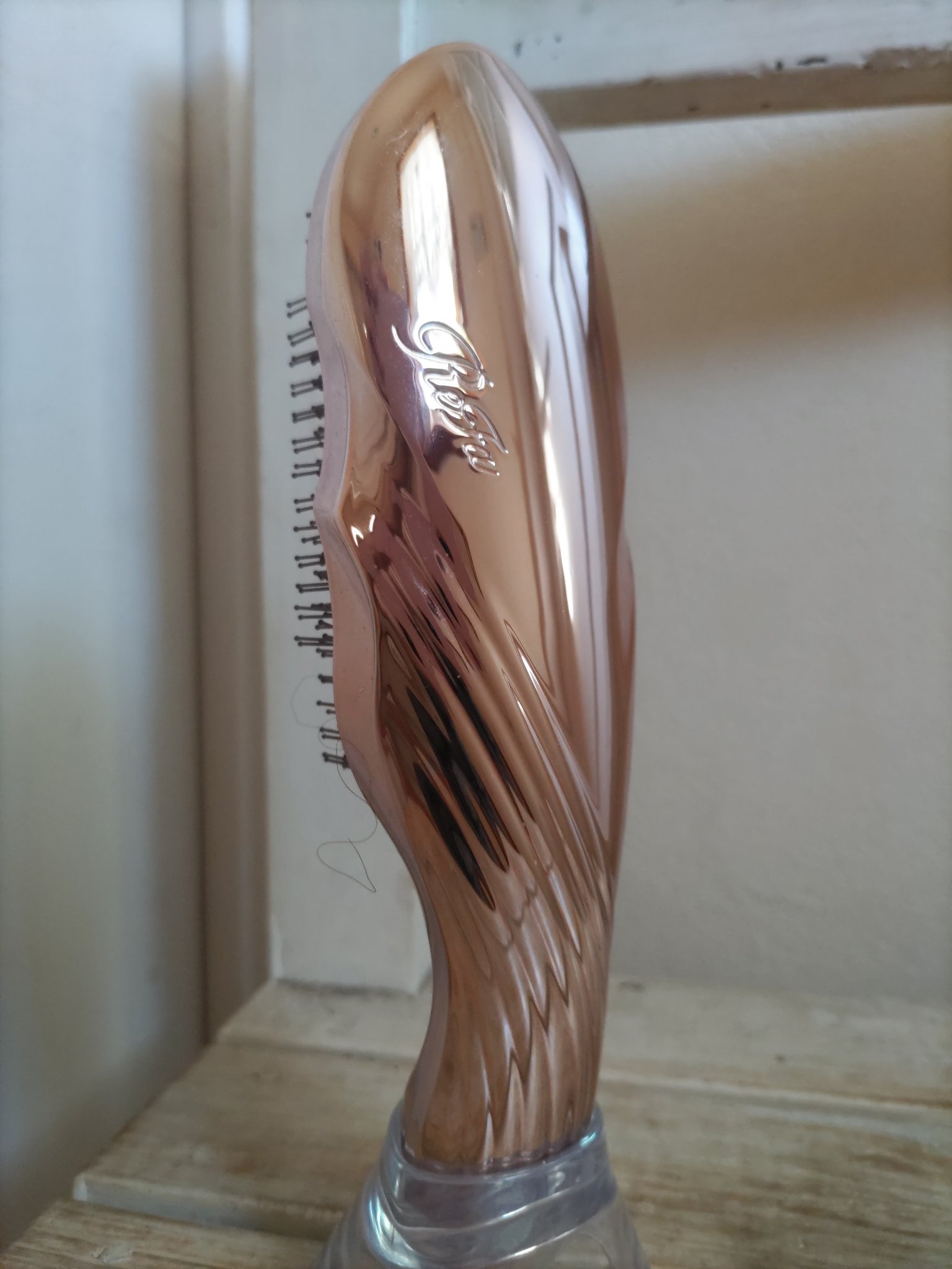 イオンケアブラシプレミアム/ReFa/スカルプブラシを使ったクチコミ（1枚目）