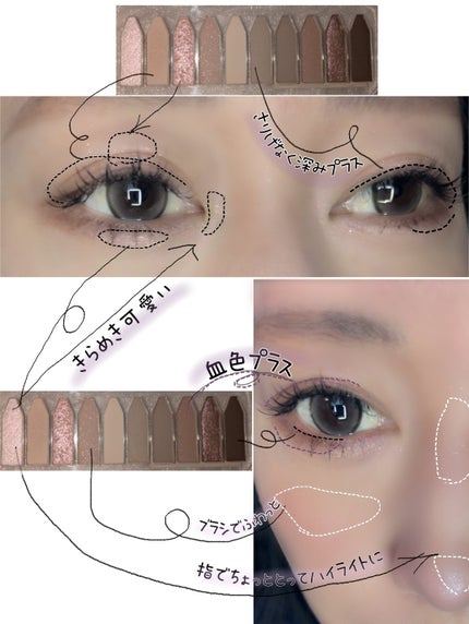 プロタージュアイパレット/too cool for school/アイシャドウパレットを使ったクチコミ(6枚目)