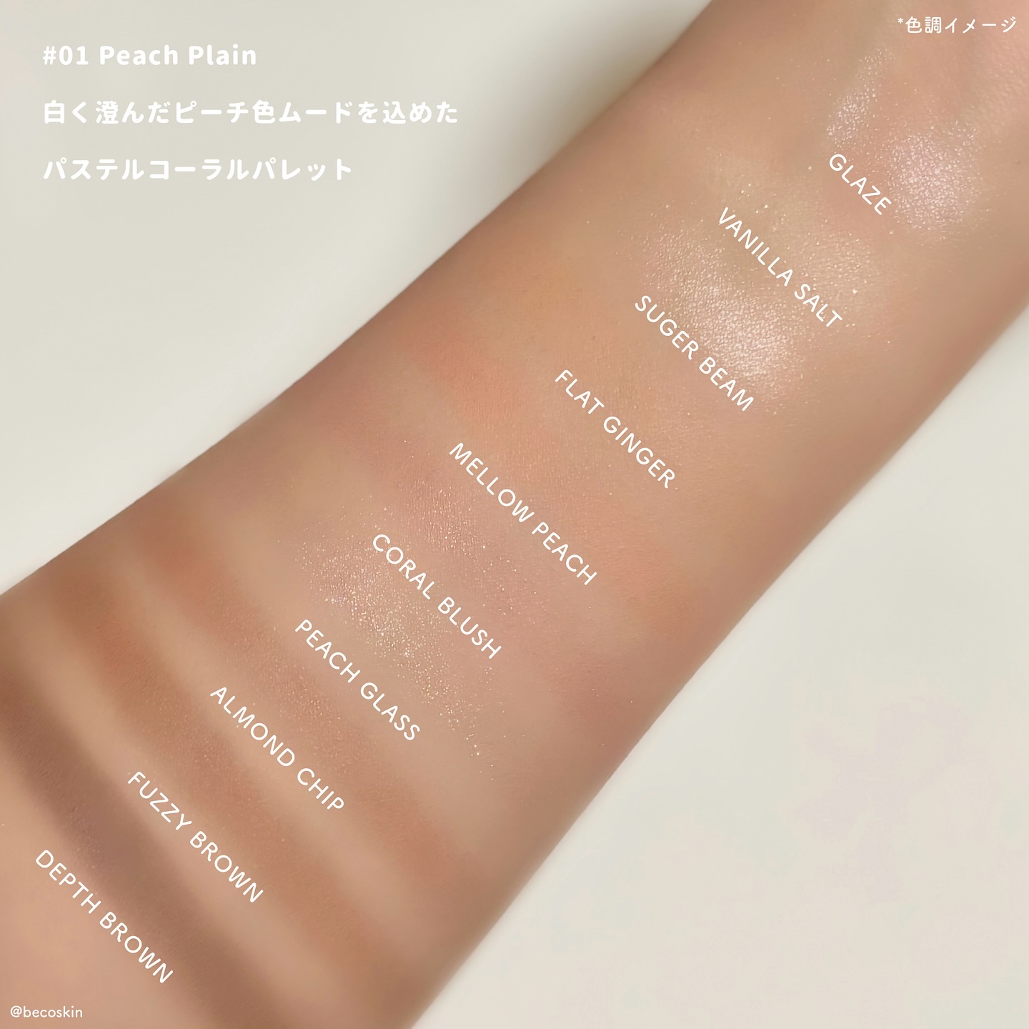 プロタージュアイパレット/too cool for school/アイシャドウパレットを使ったクチコミ（2枚目）