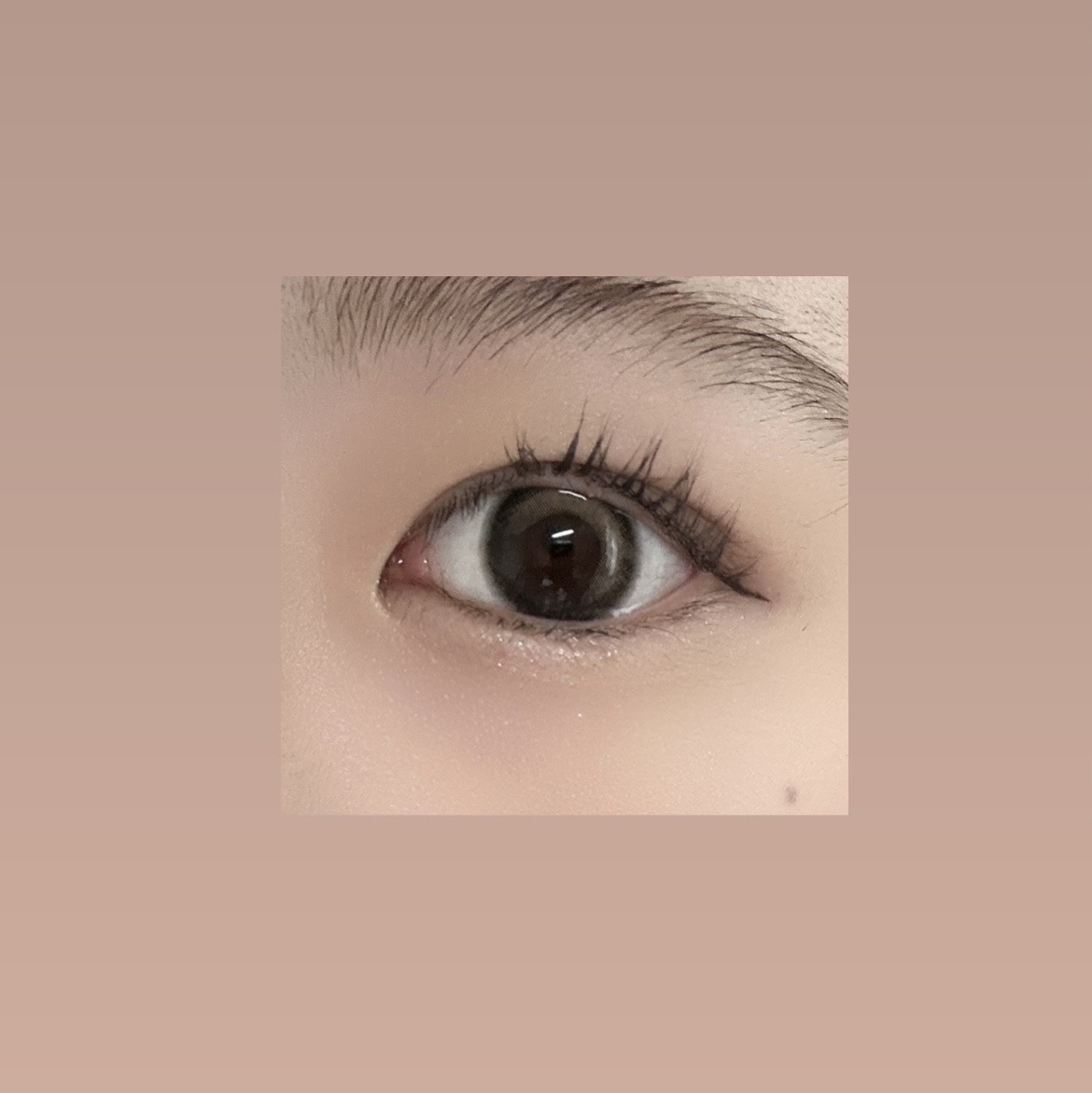 eyestar 1day アイコニックブラウン /eyestar/ワンデー（１DAY）カラコンを使ったクチコミ（2枚目）