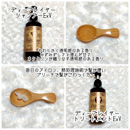 ディープレイヤー シャンプーExV/トリートメントExV 【プロフェッショナルユース】/DeepLayer/サロンシャンプーを使ったクチコミ(2枚目)