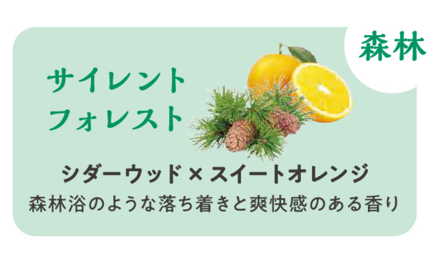 アンドグッドナイトから月夜のまったりナイトケアアイテムが登場の画像