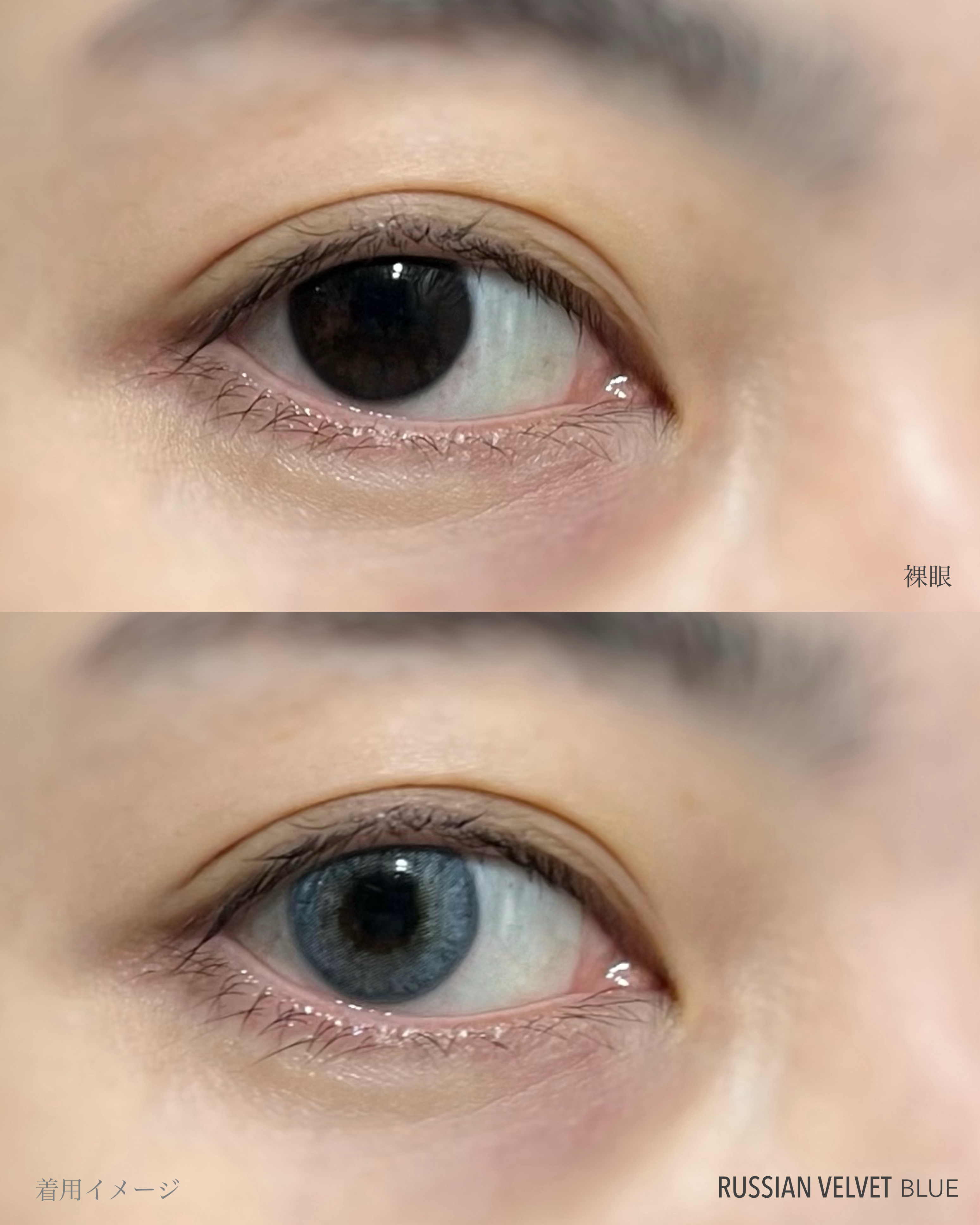 RUSSIAN (ロシアン）/OLENS/カラーコンタクトレンズを使ったクチコミ（3枚目）