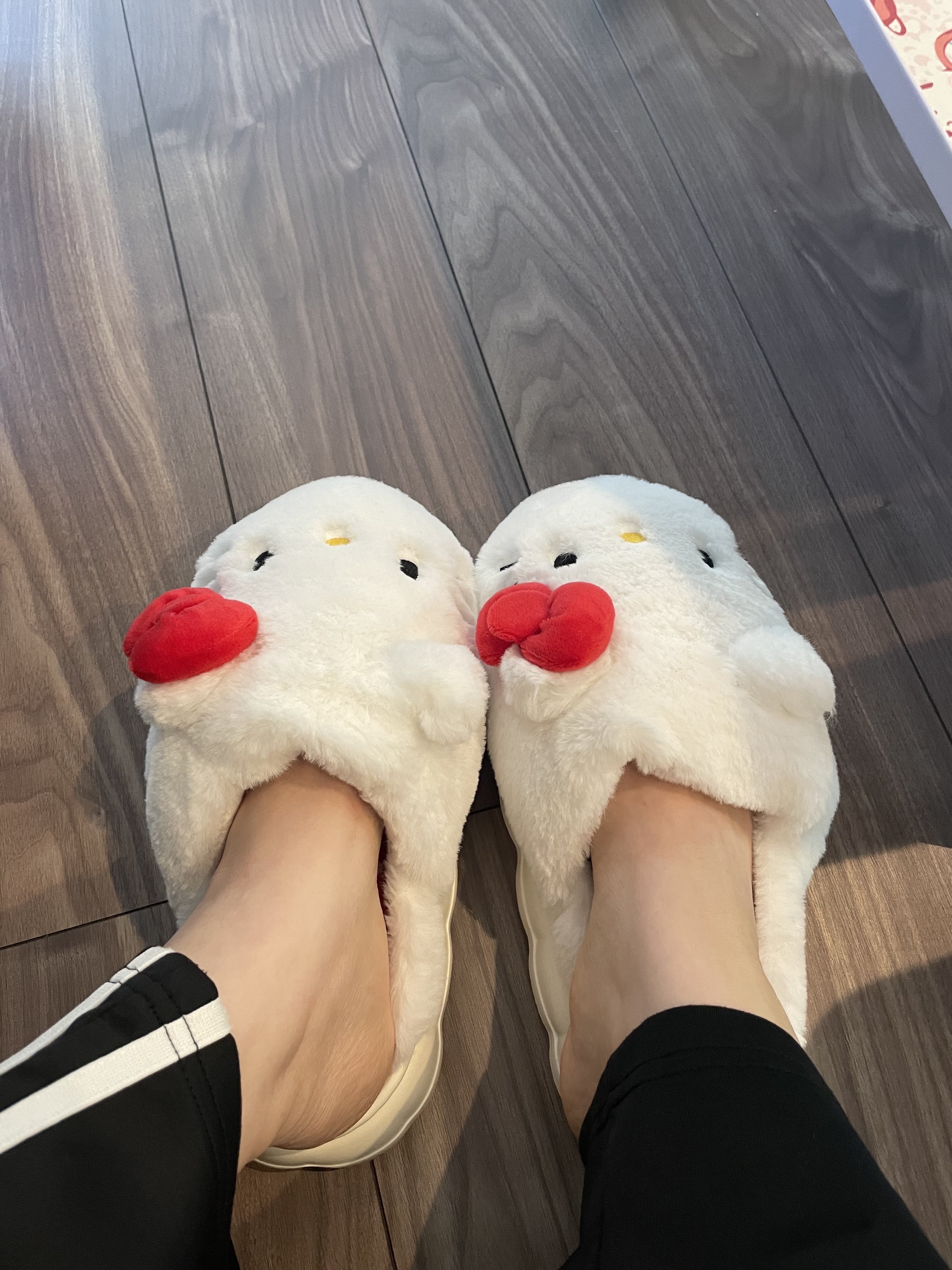 Angelcolor Bambi Series 1day /AngelColor/ワンデー（１DAY）カラコンを使ったクチコミ（2枚目）