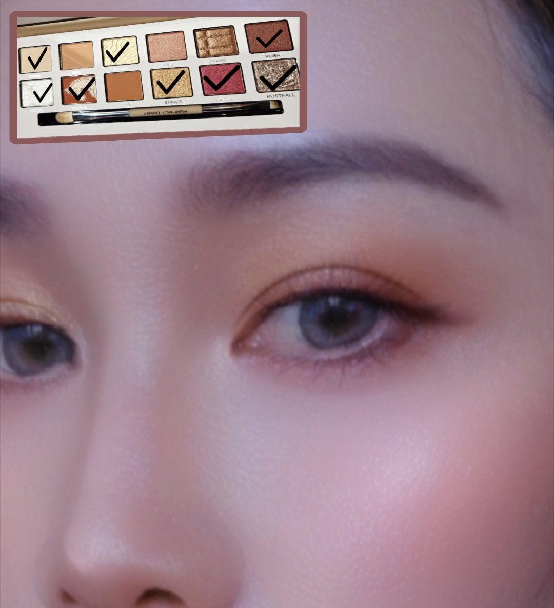 エクスプローラ12色 動物アイシャドウパレット/PERFECT DIARY/アイシャドウパレットを使ったクチコミ(3枚目)