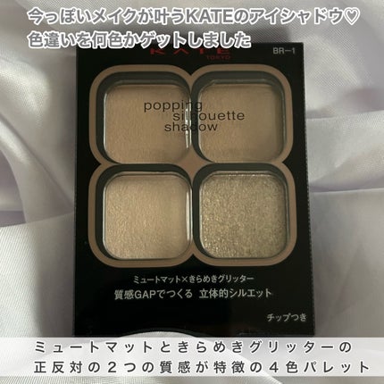 ケイト ポッピングシルエットシャドウ/KATE/アイシャドウパレットを使ったクチコミ(2枚目)