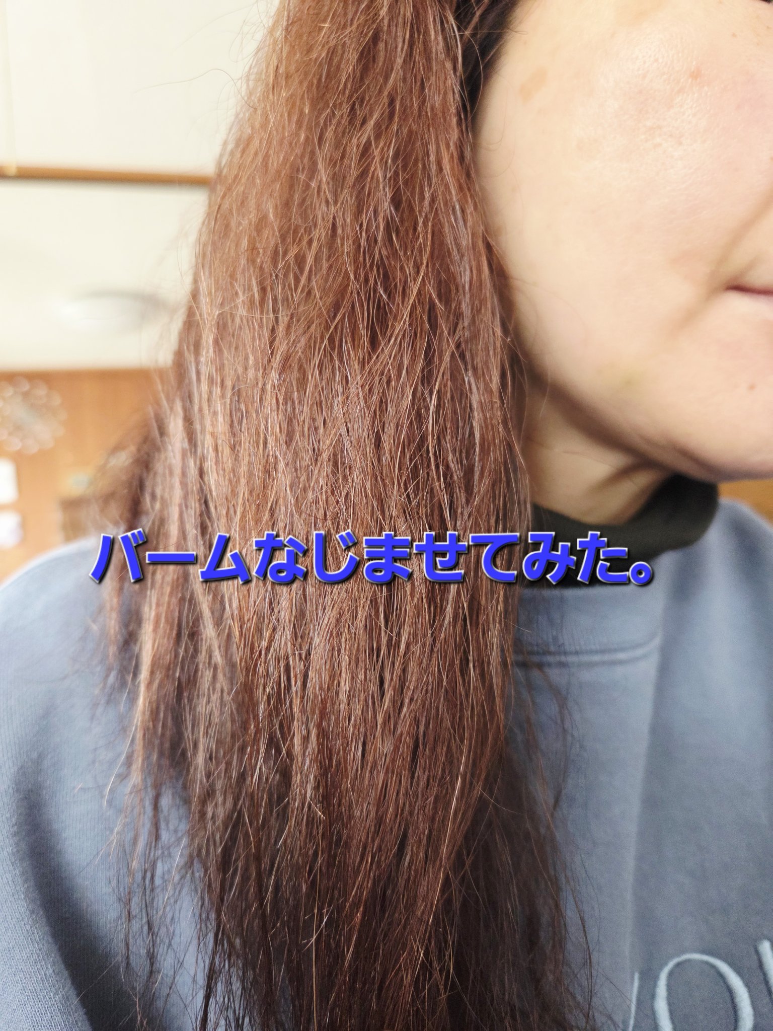 ホリデーセット 2025/SHIRO/その他キットセットを使ったクチコミ（3枚目）