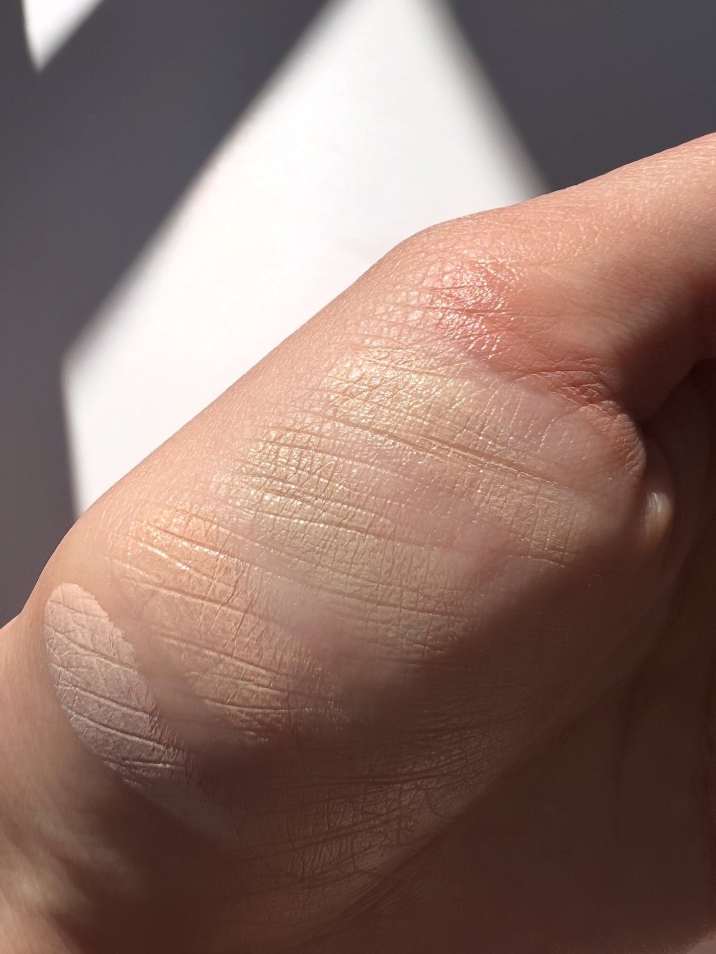 コンシールブレンダーパレット/LUNA/パレットコンシーラーを使ったクチコミ(4枚目)