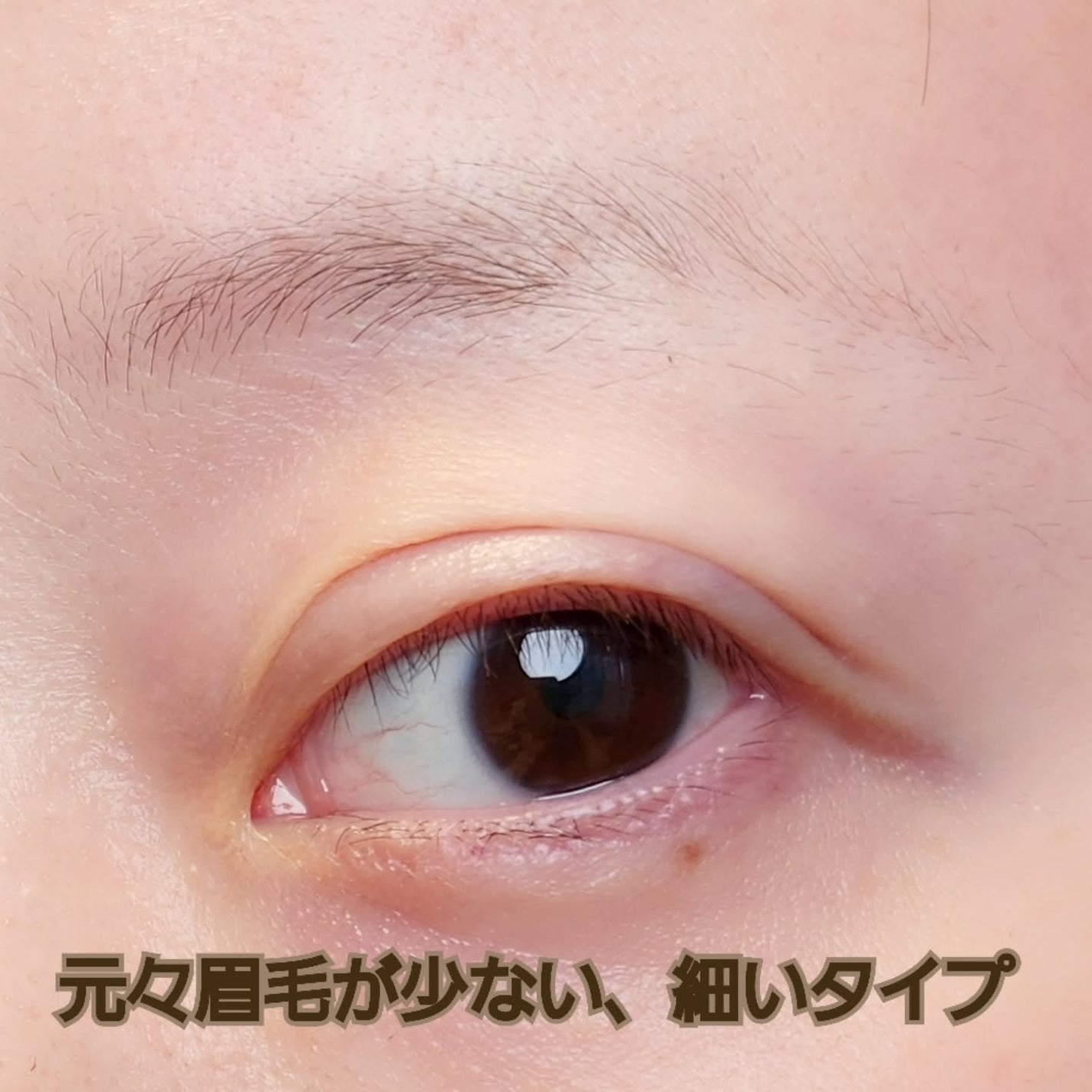 くれ竹 お化粧ふでぺん 眉毛用 毛筆極細/くれ竹 /リキッドアイブロウを使ったクチコミ(2枚目)