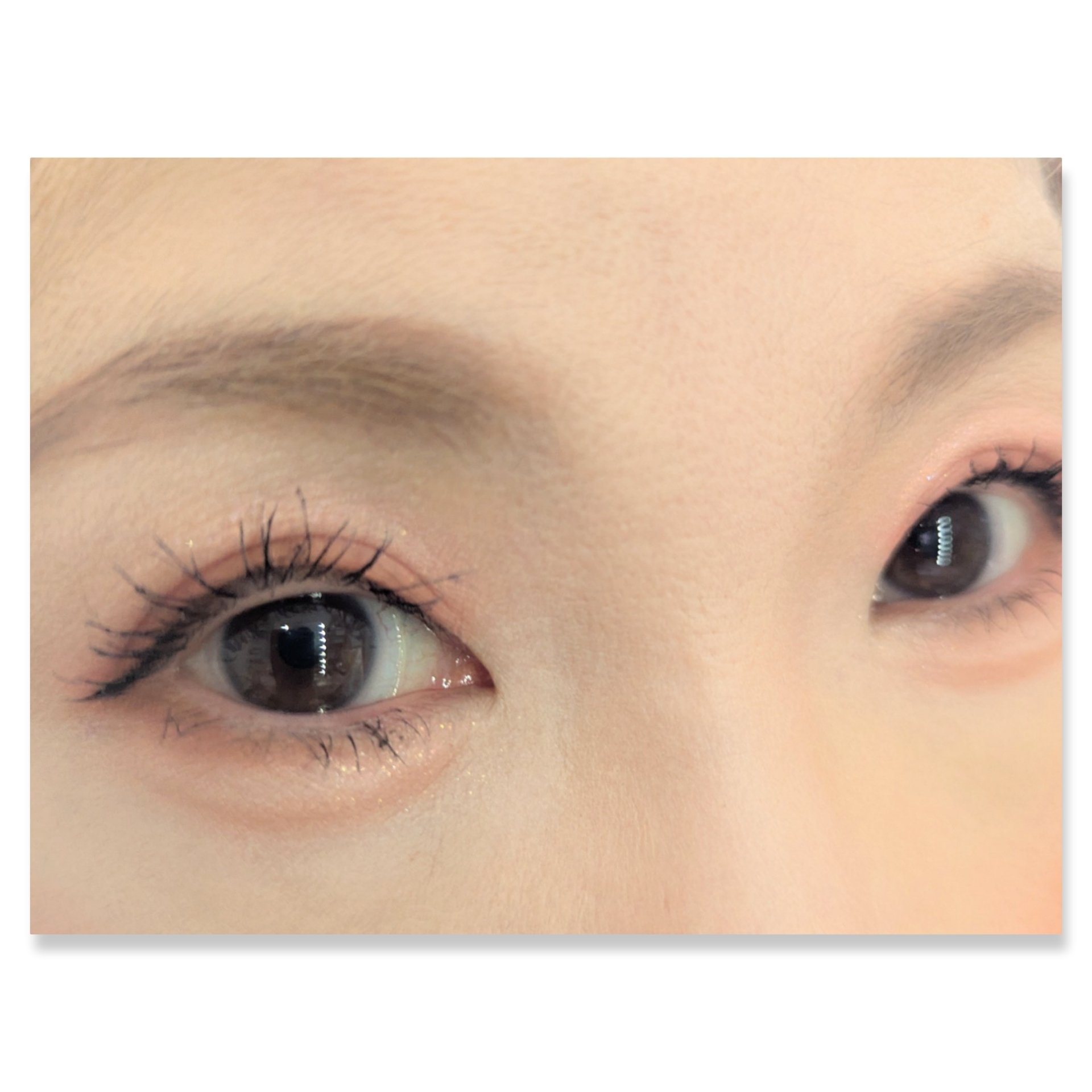 ジルリーン チョコレートアイシャドウ/jill leen./アイシャドウパレットを使ったクチコミ（2枚目）