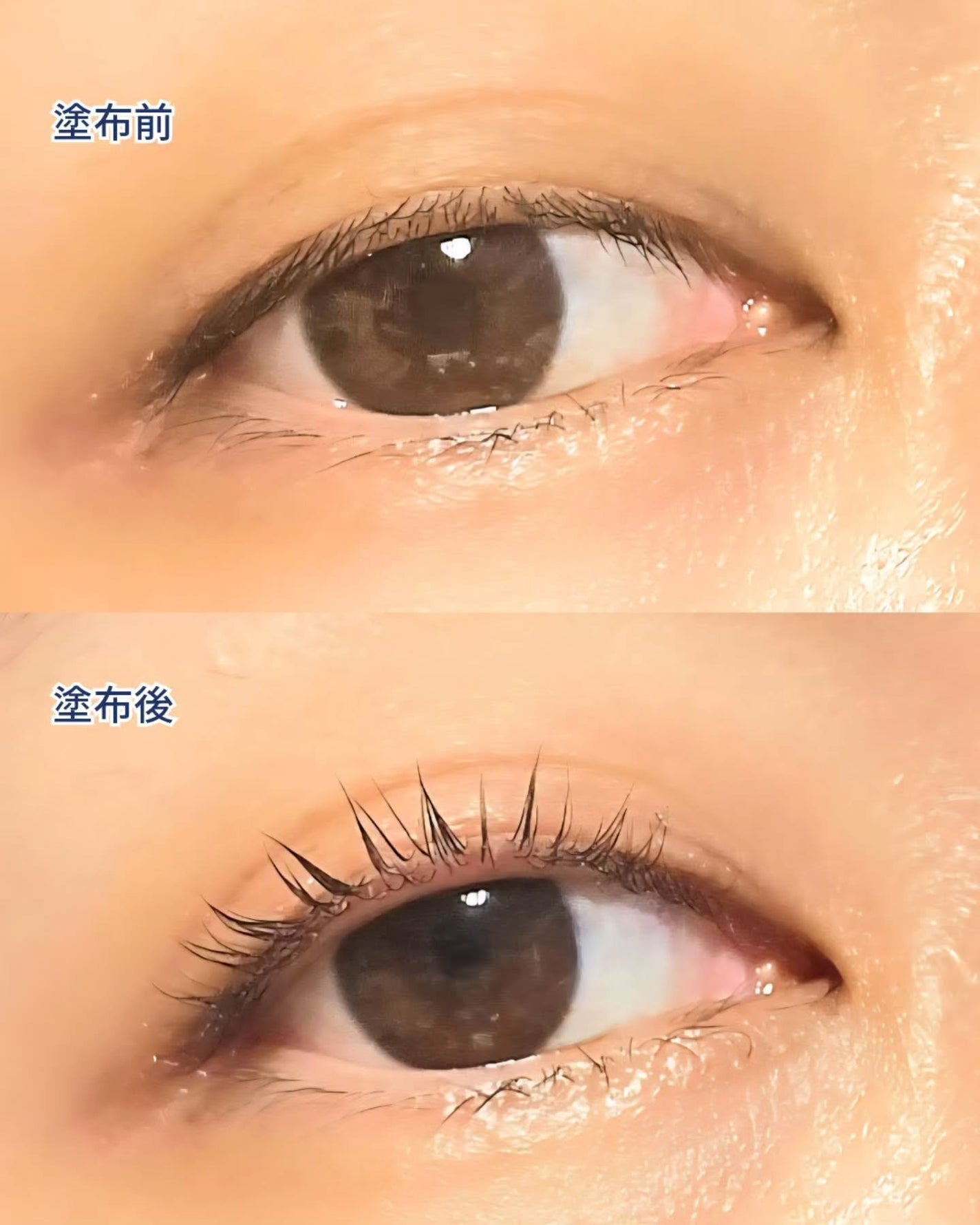 アイラッシュコーティングセラム/COSNORI/まつげ美容液を使ったクチコミ(5枚目)