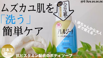 アレルジーナ 抗ヒスタミン成分配合 泡ボディソープ/マックス/ボディソープを使ったクチコミ(1枚目)