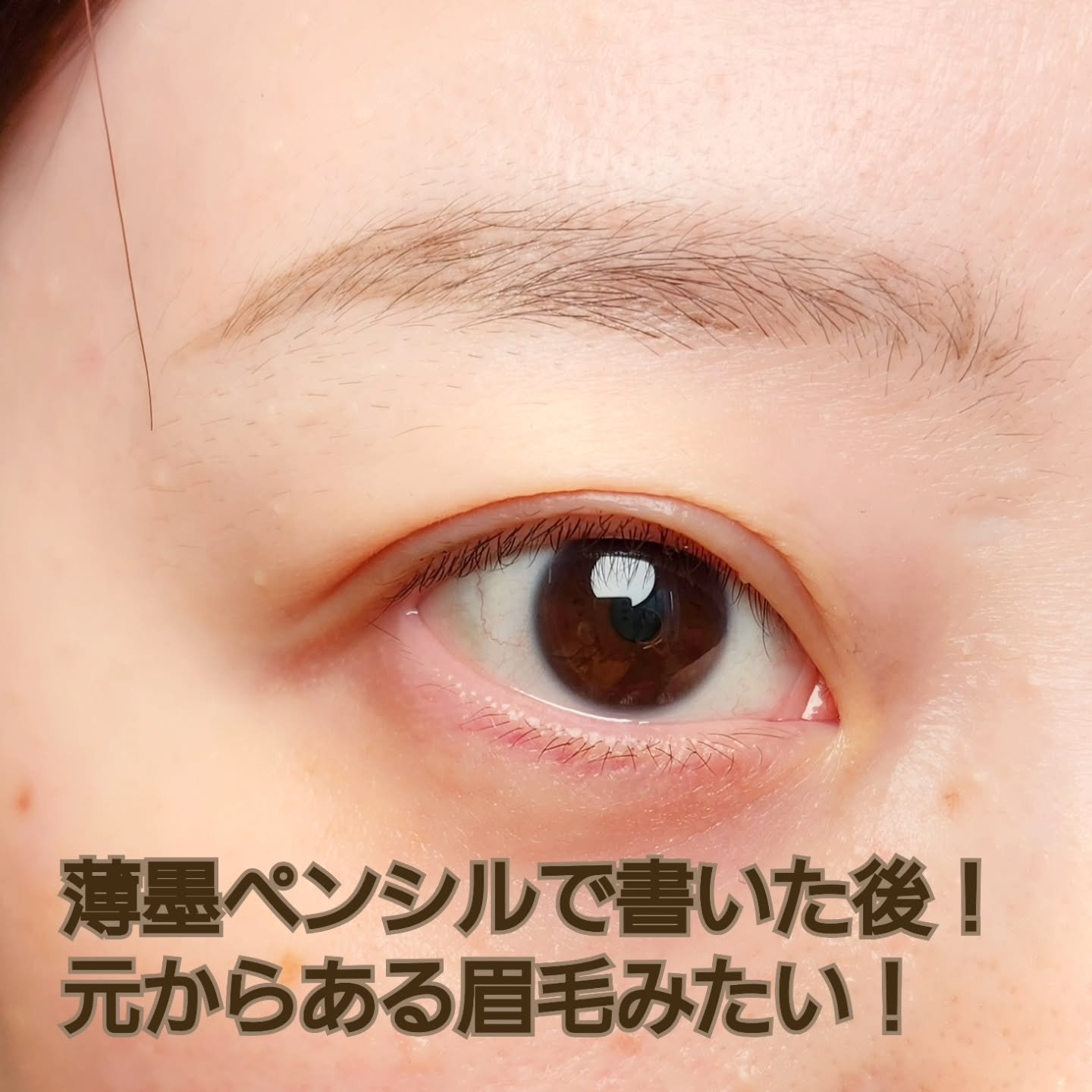 くれ竹 お化粧ふでぺん 眉毛用 毛筆極細/くれ竹 /リキッドアイブロウを使ったクチコミ（3枚目）