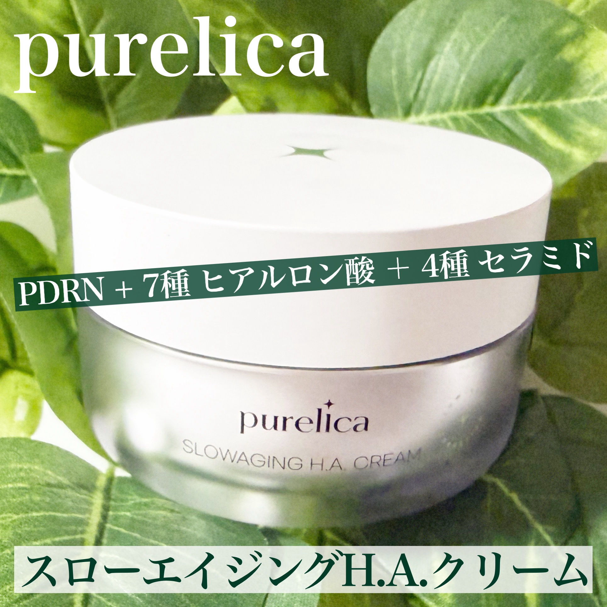 スローエイジングH.A.クリーム/Purelica/フェイスクリームを使ったクチコミ（1枚目）