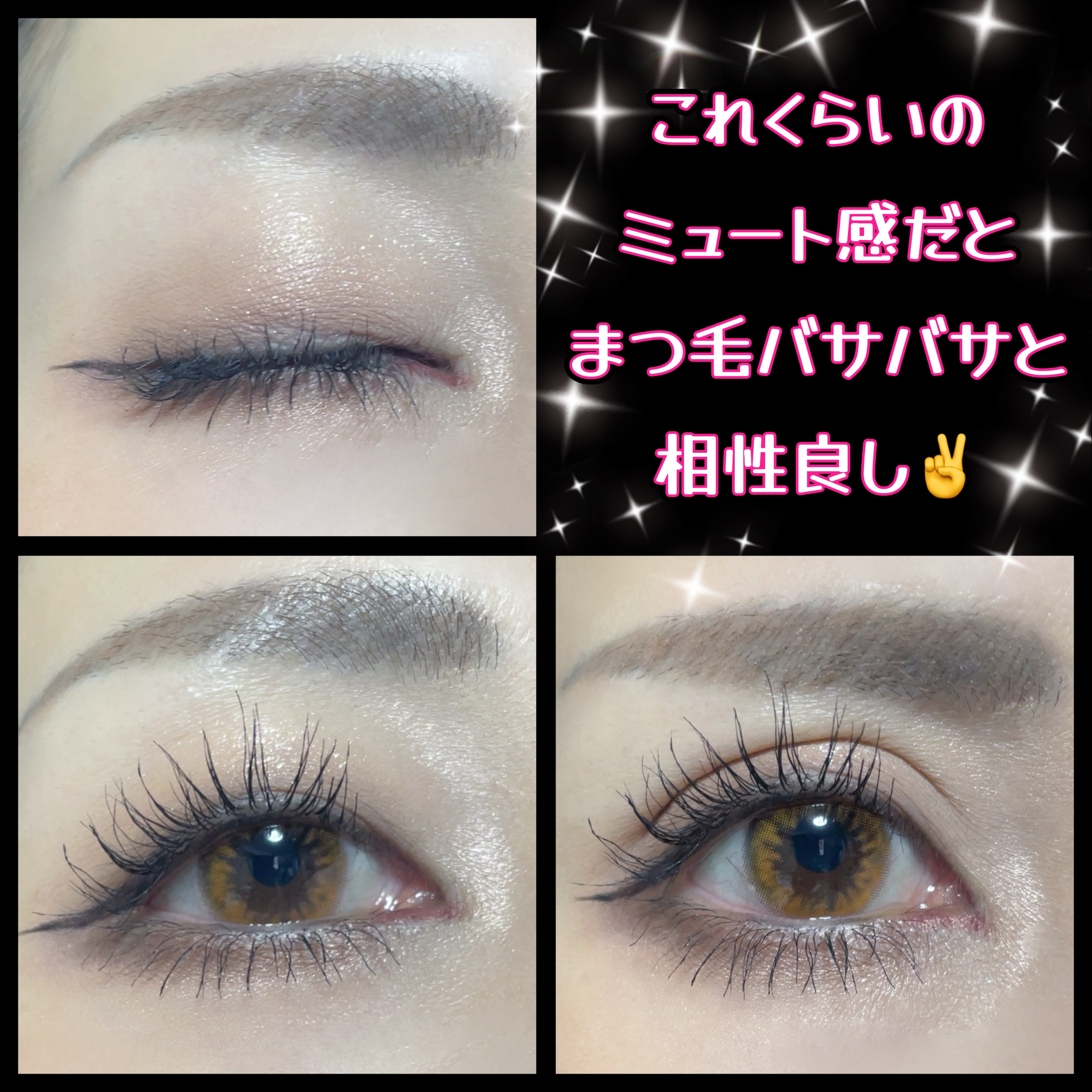 ベターミーアイパレット/2aN/マルチパレットを使ったクチコミ（3枚目）