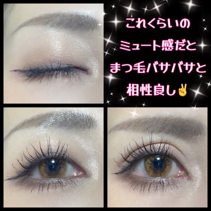 ベターミーアイパレット/2aN/マルチパレットを使ったクチコミ(3枚目)