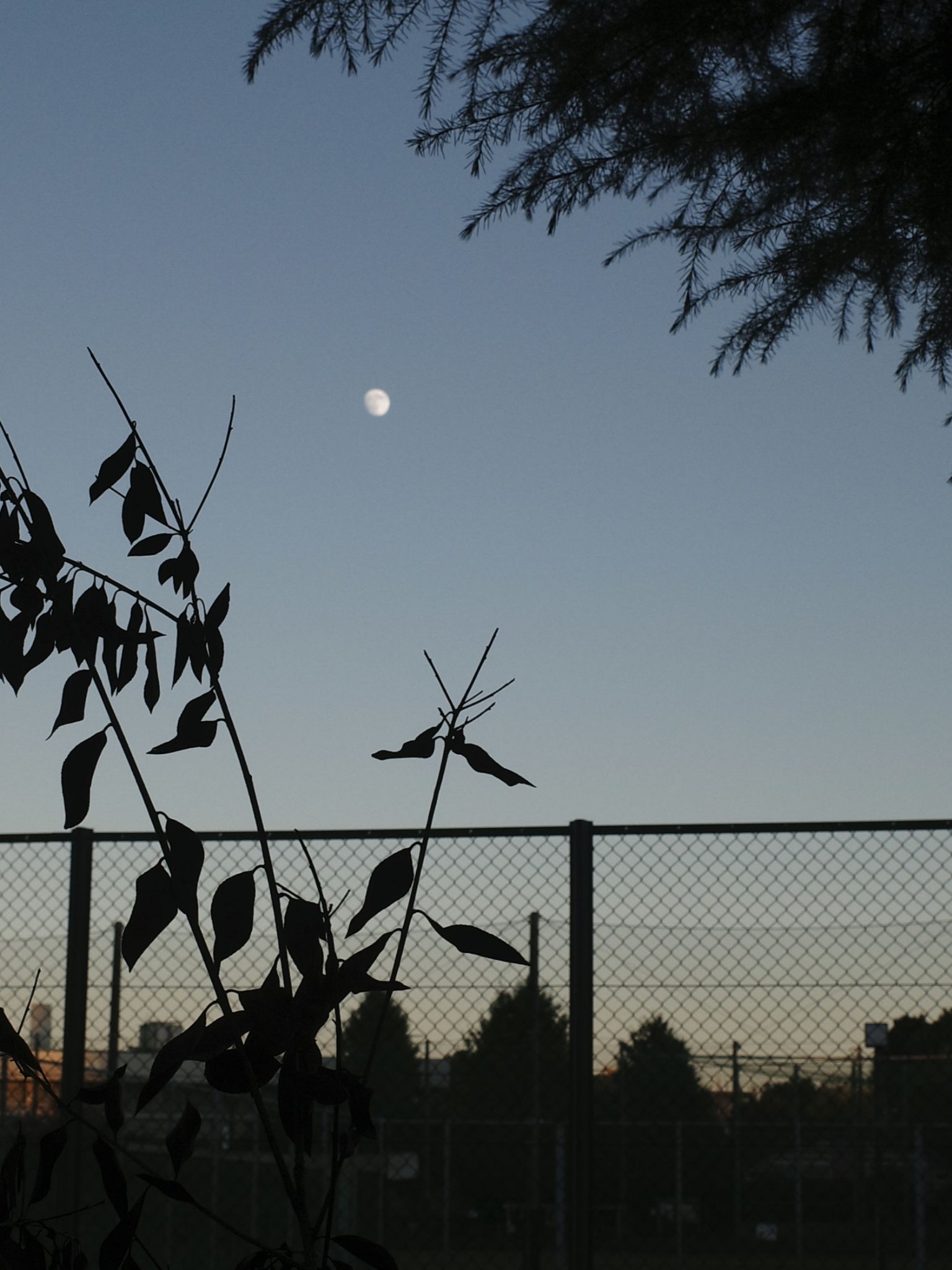 RMK ブリスフル エアー フェイスパウダー/RMK/プレストパウダーを使ったクチコミ（3枚目）