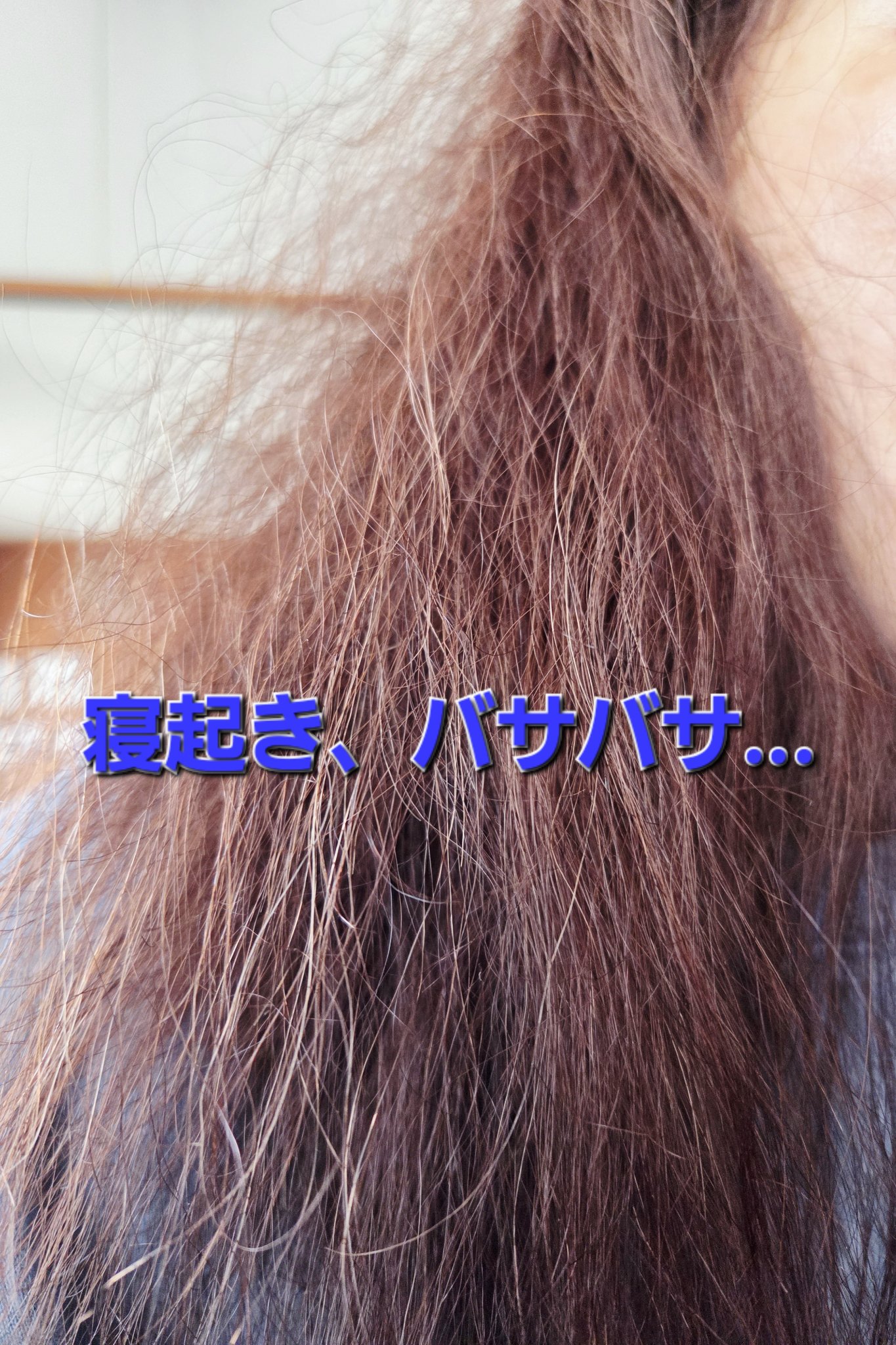 ホリデーセット 2025/SHIRO/その他キットセットを使ったクチコミ（2枚目）