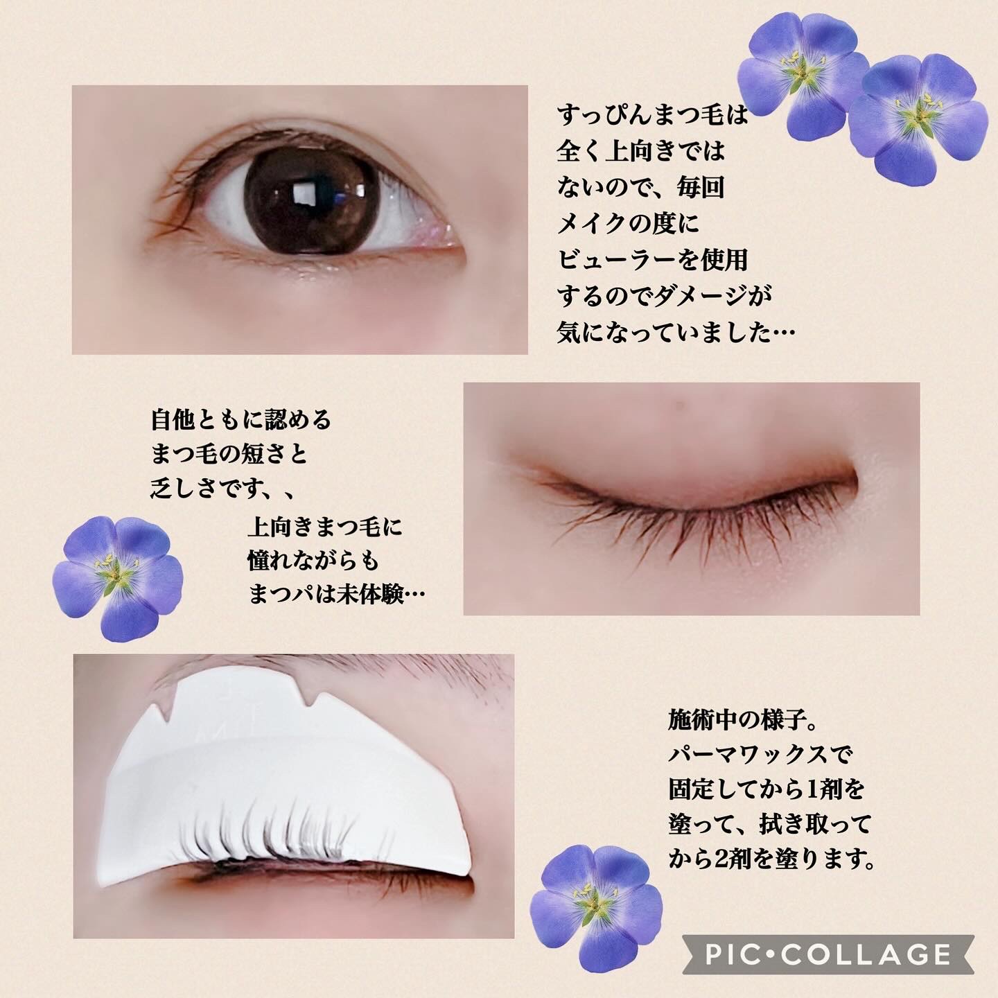 ENRICHED LASH ＆ BROW SELF PERM KIT/MARSHIQUE/その他キットセットを使ったクチコミ（3枚目）